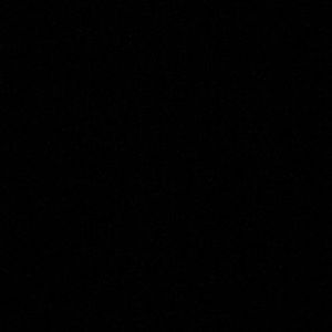 Meet your Posher, Lilli